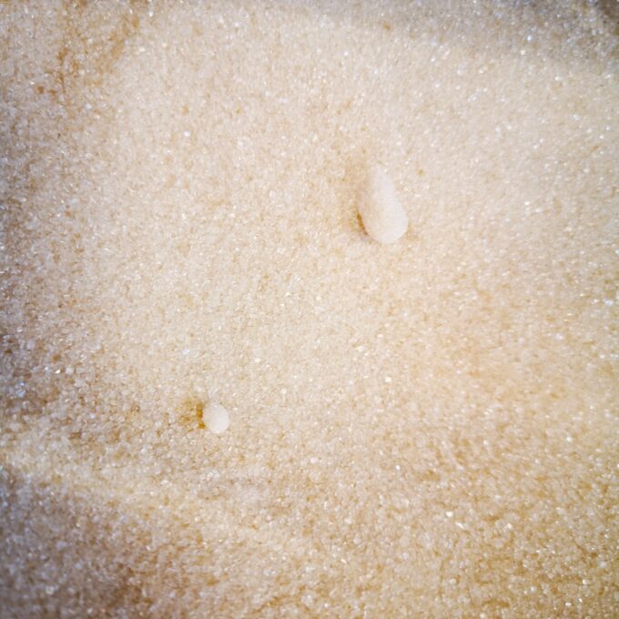Sucre de canne roux clair Bio
