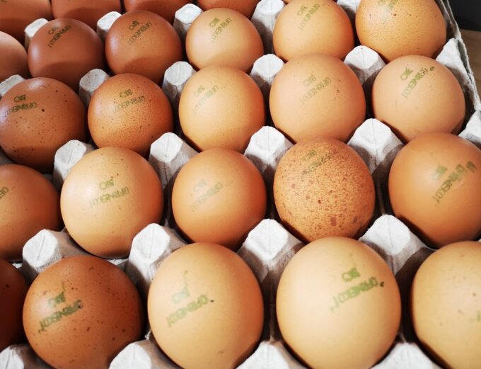 Oeufs extra frais Bio