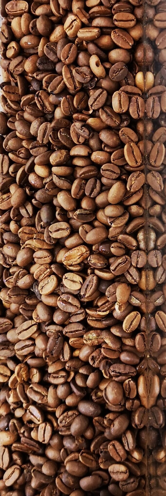 Café Inde Malabar