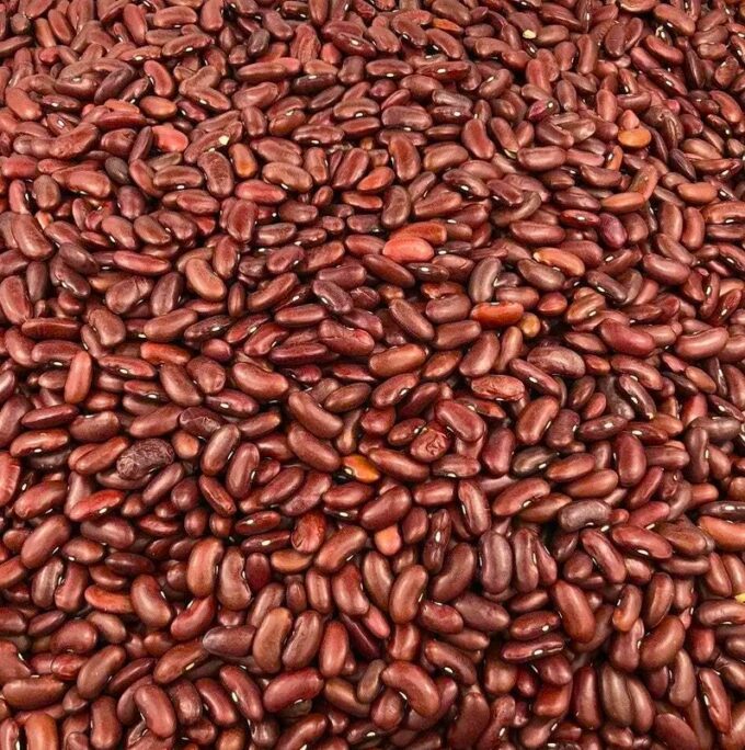 Haricots rouges