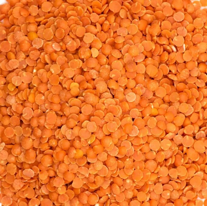 Lentilles corail