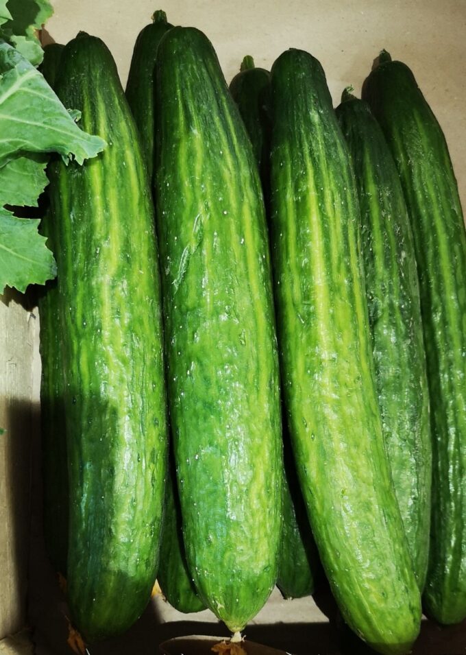 Panier de Fruits et Légumes de saison – Image 4