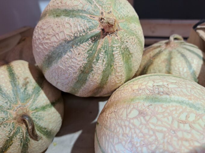 Panier de Fruits et Légumes de saison – Image 8